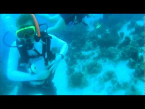Scuba Dive - James Bond , Nassau Bahamas