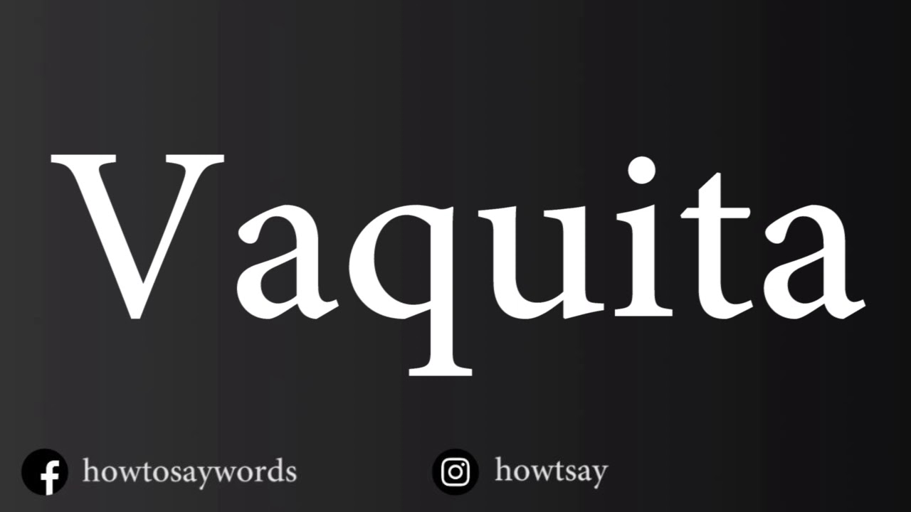 How To Pronounce Vaquita