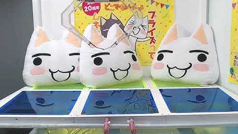 Got [Dokodemo Issho Cushion]!!