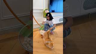 Pensavano fossero uova di tartaruga... ma erano bollite!