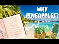 🇯🇲 Why Jamaica Puts Pineapples On Its Passport