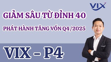 VIX - Phần 4: Đánh giá về quyết định tăng vốn, có nên bắt đáy sau cú rơi mạnh từ giá 40?