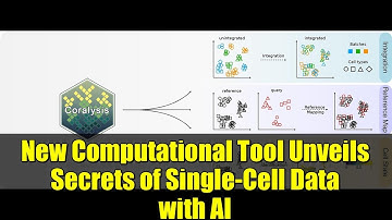 New Computational Tool Unveils Secrets of Single-Cell Data with AI