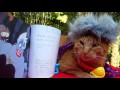Disney　Villains　URSULA　ディズニー　ヴィランズ　アースラ　cute　cat　No１　なかよし茶トラ猫