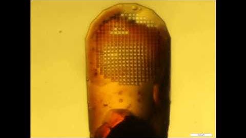 High throughput cryogenic screening of a SPOT library