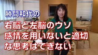 右脳と左脳のウソ。感情を用いないと適切な思考はできない