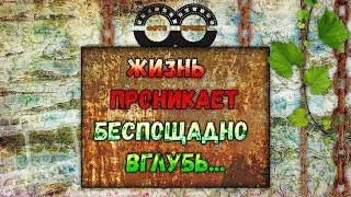 ЖИЗНЬ ПРОНИКАЕТ БЕСПОЩАДНО ВГЛУБЬ  музыка АНДРЕЙ ОБИДИН