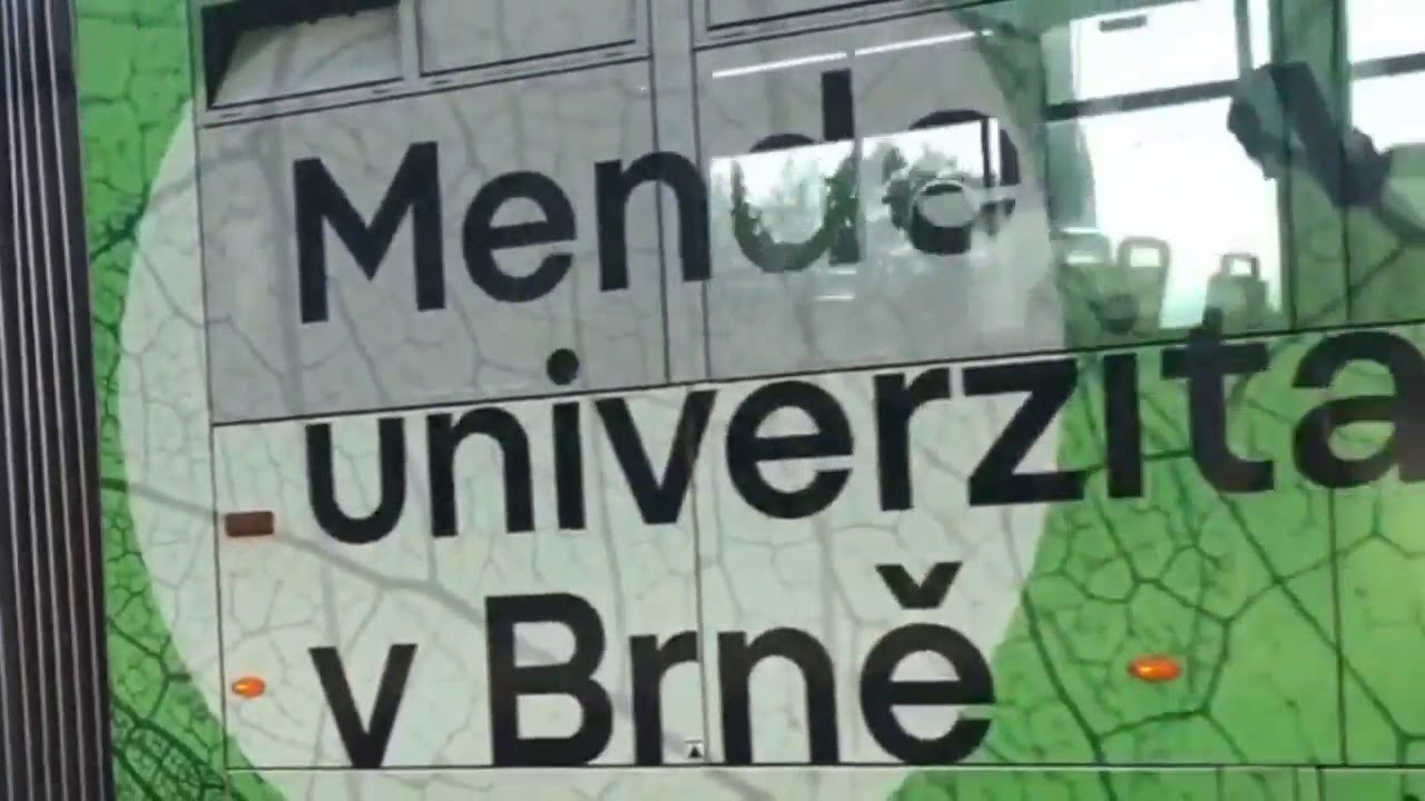 MENDEL UNIVERSITY & CANDY MINERS in Czech Republic