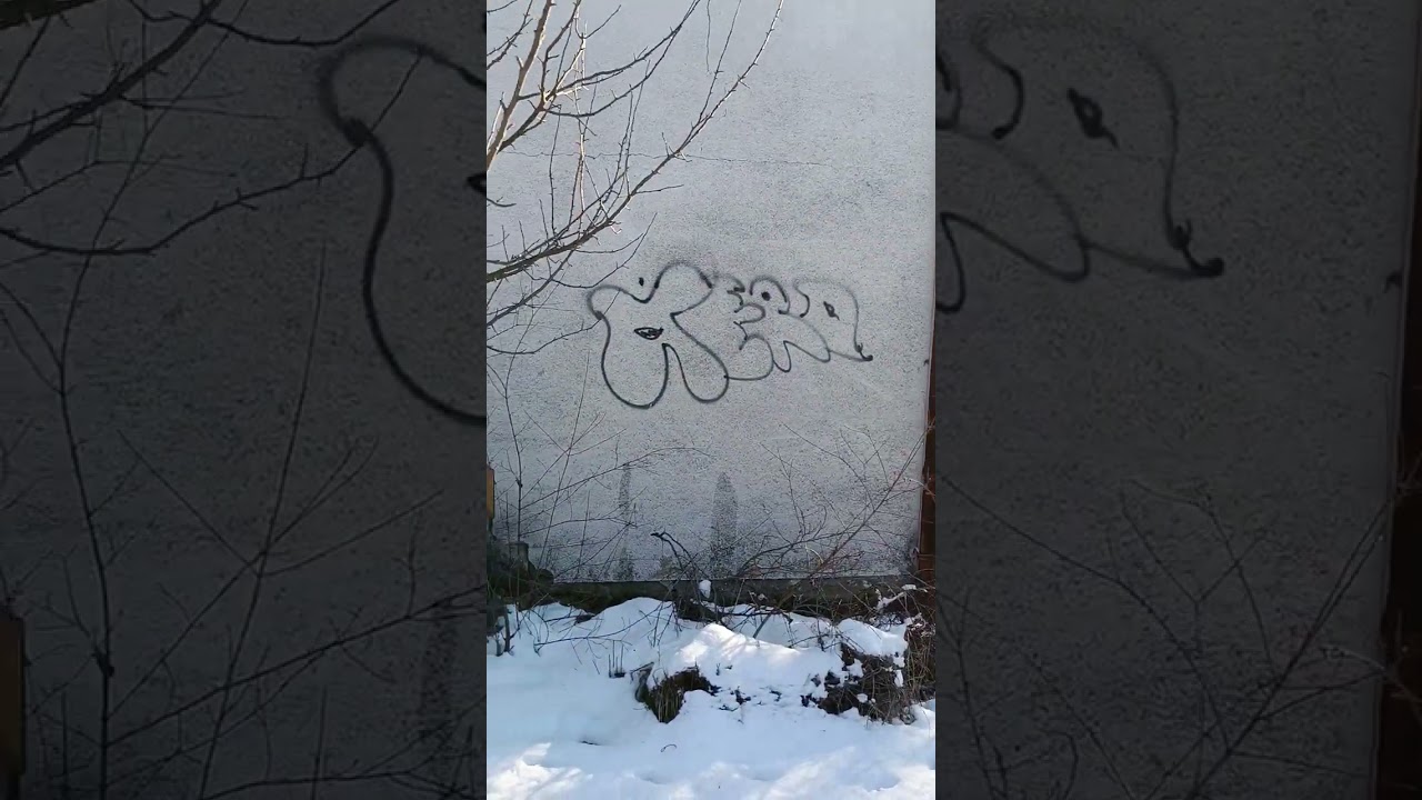 Exploring mysterious footsteps in the forest 