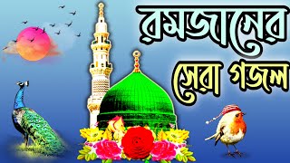 সোনার মদিনা গজল || রমজানের গজল || sonar madina gojol, bangla gojol, bangla gazal, newgojol