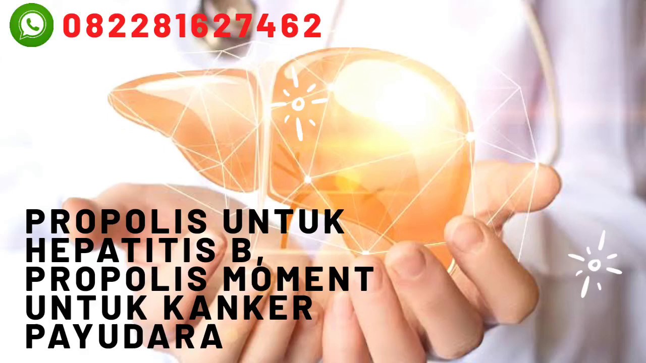 Manfaat Melia Propolis Untuk Ambeien Pt Melia Sehat Sejahtera Manfaat Melia Propolis Untuk Ambeien Pt Melia Sehat Sejahtera