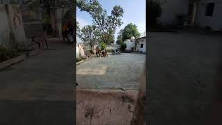 Pooja Patel Vlogs Is Live173