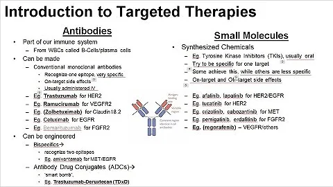 17 Principles of Targeted Therapy