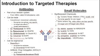 17 Principles of Targeted Therapy
