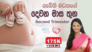 ගැබිණි මවගේ දෙවන මාස තුන second three months of pregnancy | Ape Miss - අපේ මිස්