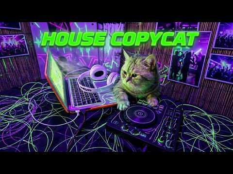 House Copycat’s Instrumental House Mix 😺 하우스카피캣의 보컬 없는 하우스 클럽 음악 🎧
