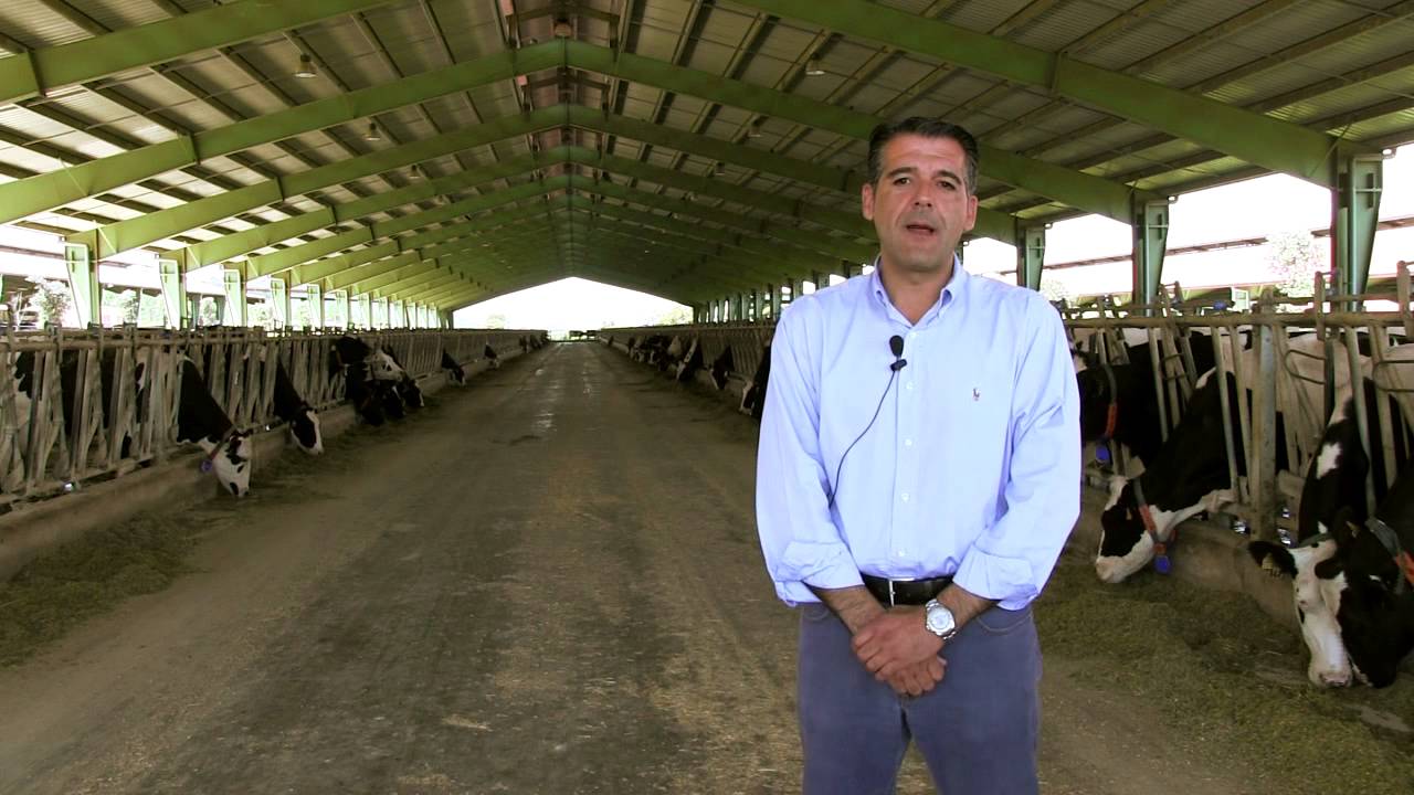 SAT San Ramón, una granja familiar - Bienvenidos al Campo