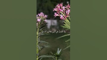 قرآن كريم#افغانستان #اكسبلور #المغرب #السعودية #تيك_توك #العراق#هند#مصر#باكستان#ليبيا #duet #لايك