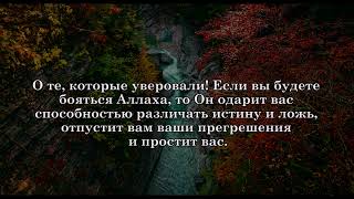 Красивое чтение суры «Анфаль» | Омар Хишам