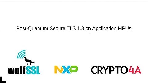 Post Quantum Secure TLS 1.3 on Application MPUs