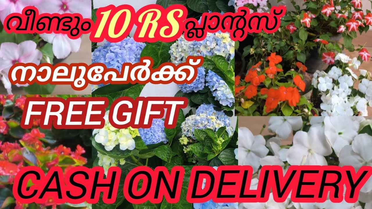 4 ഫ്രീ ഗിഫ്റ്റ് ,സമ്മാന പൂമഴ/4 Free Gift & Gift Mela