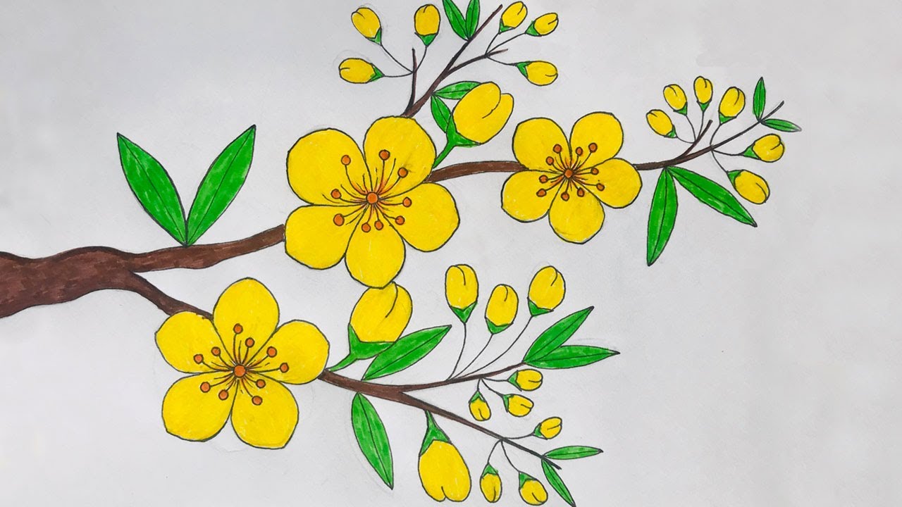Vẽ Hoa Mai Ngày Tết | Cách Vẽ Hoa Mai | Mai Vàng Đón Tết - Youtube