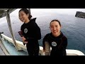 沖縄　宮古島ダイビング　miyakojimadiving　2019  1  8