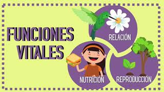 Vital functions of living beings: Nutrition, interaction and reproduction 🐥🌱 Vital functions of living beings: Nutrition, interaction and reproduction 🐥🌱