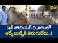 Rk bulls farming         tone agri
