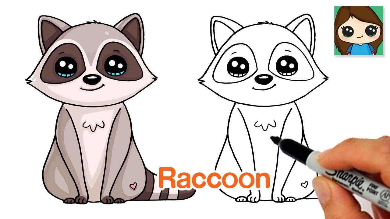 How to Draw a Raccoon Easy - YouTube