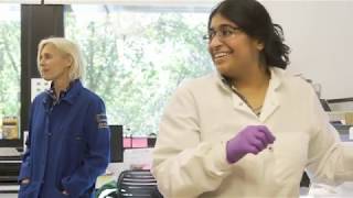 Postdoctoral training program at the IBSC