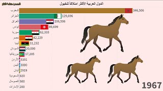 الدول العربية الأكثر امتلاكاً للخيول (الأحصنة) | السودان | المغرب | مصر | موريتانيا | تونس | العراق