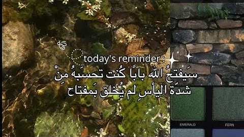 الشيخ محمد ايوب بدون صدى| سورة الأنعام وسورة الواقعة