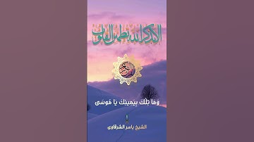 الشيخ ياسر الشرقاوي صوت جميل جدا تلاوة مؤثرة | القارئ ياسر الشرقاوي