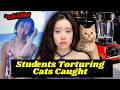 University Students Caught Torturing Cats on Camera | Rotten Mango