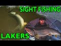 Sight fishing lake trout through the ice  big mama smashes my rattle bait in 7 feet of water