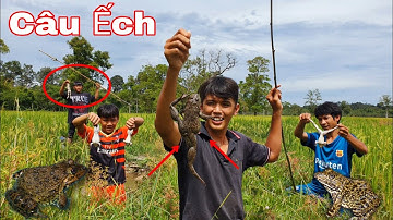 Câu Ếch Đồng Ở GIẾNG NƯỚC Bỏ Hoang & 1 Ngày Bội Thu Của Sang Vlog