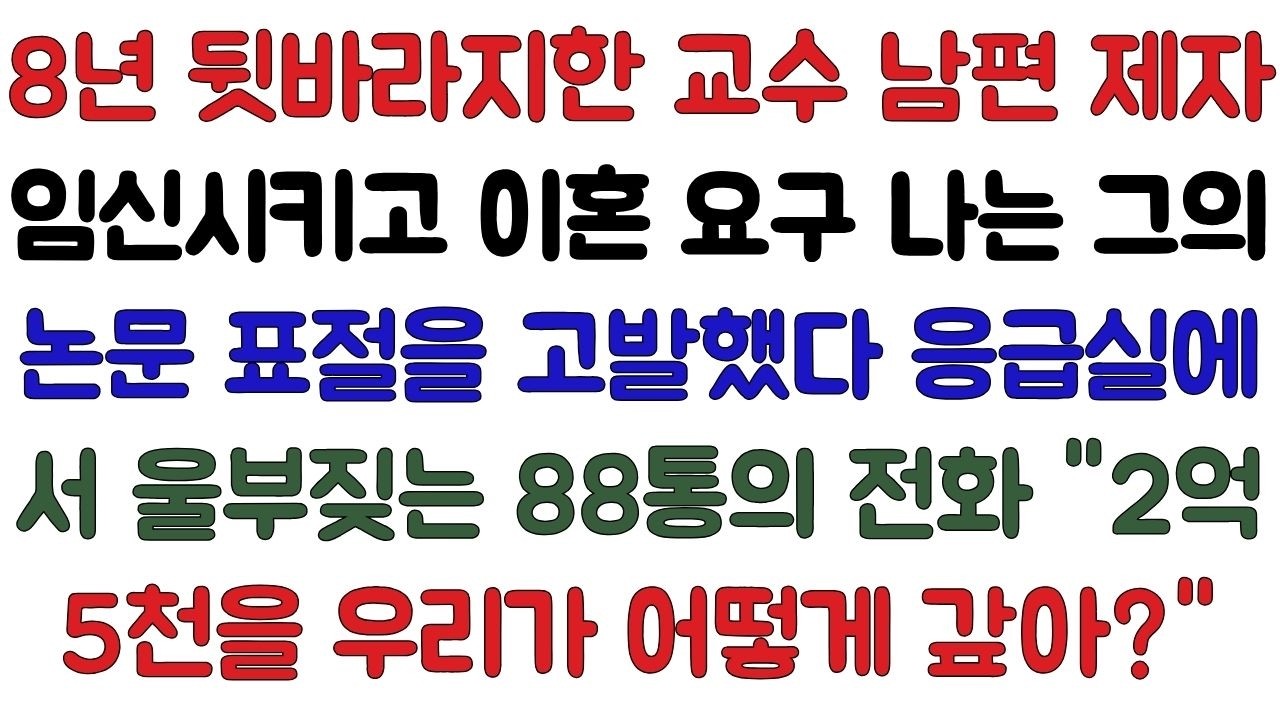 8년 뒷바라지한 교수 남편, 제자와 임신 후 이혼 요구. 나는 학위 표절 증거를 대학에 제출했다. 응급실에서 울부짖는 88통의 전화. '2억 5천을 우리가 어떻게 갚아?'