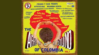 Video thumbnail of "Afrosound - Ponchito de colores"