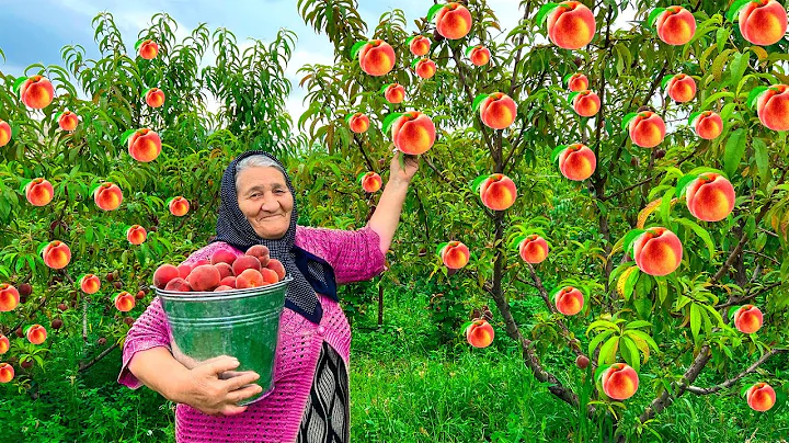 Harvesting Fresh Peaches! Making Cake and Juice in the Village! - DayDayNews