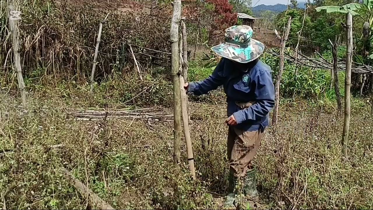 26.2.2026 hnub no los2 nag kawg li kev mas nko2 kawg li os ib toom phooj ywg aw