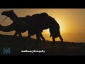 عبدالملك الهتاري شيلة واللي مين يسكن البران