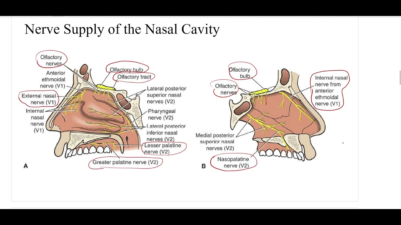 GR2 - Lec. 10 - Lab