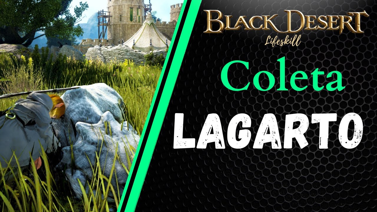 [BDO Lifeskill] Coleta: Lagarto (Lizard rotation) - YouTube