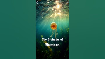 evolution of humans from apes to modern #humanevolution #history #science #ancienthumans #evolution