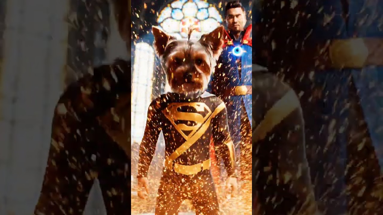 Super Yorkie's new look with Dr Strange