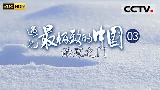 《遇见最极致的中国》EP03 中国最北的极寒之地 这里有中国最广袤的森林、最耐寒的生命 还有最长的冬天——酷寒之门（4K）【CCTV纪录】