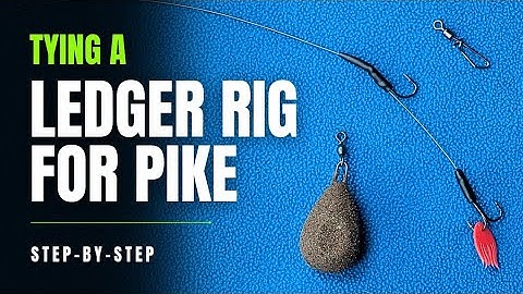 The Best Dead Bait Rig for Pike (Simple & Effective)