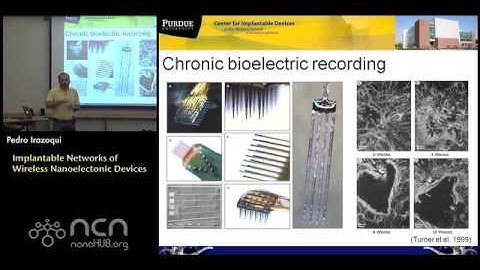 Implantable Networks of Wireless Nanoelectronic Devices