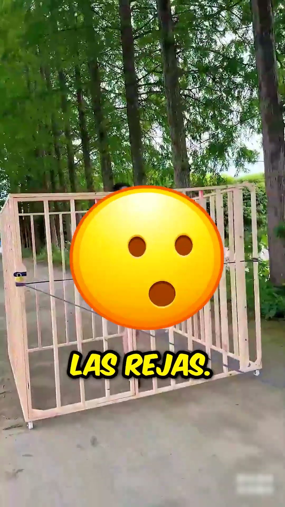 Pensó que ella lo engañó, ¡pero luego! ?